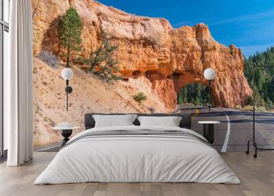 Red Canyon Tunnel along scenic route 12 in Utah Wall mural