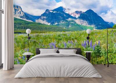 Wildflower Meadow in Glacier National Park, Montana Wall mural