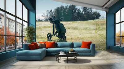 Different golf clubs in a solitary carrying bag. Wall mural