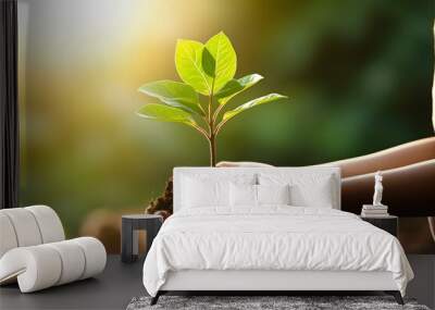 Hand holding young plant on blur green nature background. Wall mural