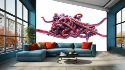 worms on a white background Wall mural