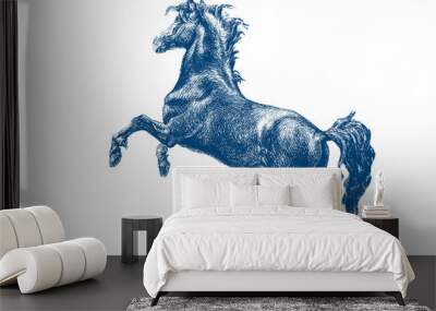 Graphic drawing. Vector art. Pencil illustration. Engraving vintage horse. Illustration of horse hand drawn vintage engraving. Wall mural