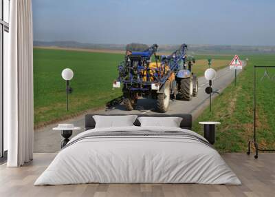 themericourt, a country road in val d oise Wall mural