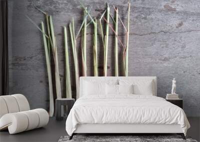 lemongrass, tree, plant, food, herb Wall mural