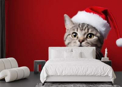 Grey cat dressed in Santa Claus hat, on red background, ai generative Wall mural