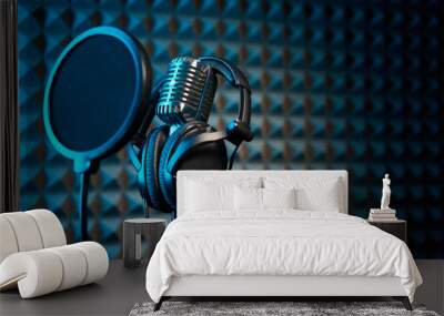 Retro microphone and pop filter on acoustic foam panel background Wall mural