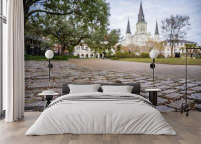 Cobblestone street in view in Jackson Square, French Quarter, New Orleans, with the St. Louis Cathedral in the distance. Shallow focus on a street stone for effect. Wall mural