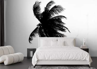 black and white coconut leaf  white background Wall mural