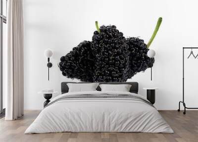  mulberry isolated in white background Wall mural