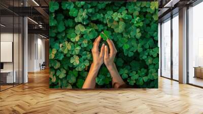 a field of three leaves clovers as seen from above where the arms of a young Caucasian woman reach out and hold a single three leaved clover in her hands, where the arms can be seen up to their elbow. Wall mural