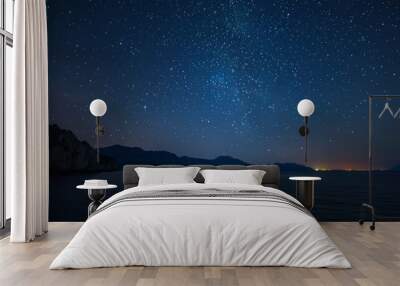 Amazing starry sky over sea at night Wall mural