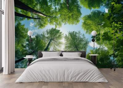 Trees in forest from below green tops of trees blue sky Wall mural