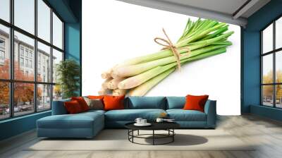 bundle of lemongrass isolated on white background. Wall mural