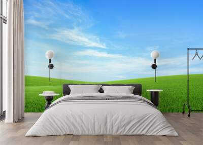 Landscape view of green grass field with blue skybackground. Wall mural