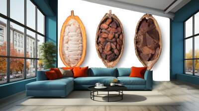 Top view of fresh cocoa fruit, fresh and dried cocoa beans  isolated on white background. Clipping path. Wall mural