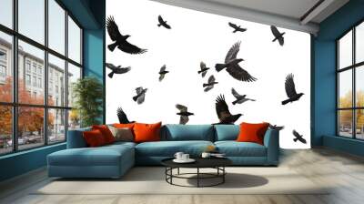 Flock of black birds flying over isolated transparent background Wall mural