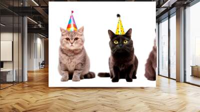 Set of four adorable cats wearing Birthday party hats posing over isolated white transparent background Wall mural