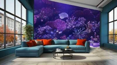  aquarium Wall mural