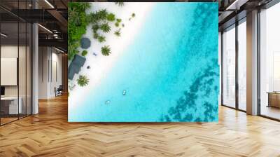 Beautiful aerial view of Maldives and tropical beach . Travel and vacation concept Wall mural