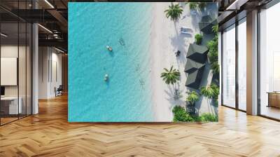 Beautiful aerial view of Maldives and tropical beach . Travel and vacation concept Wall mural