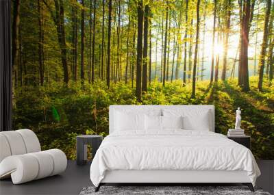 forest Wall mural