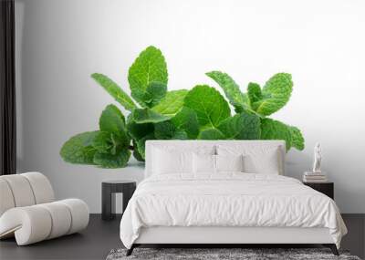 fresh green mint leaves isolated on white background. top view. Wall mural