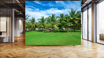 Garden with coconut palm trees Wall mural