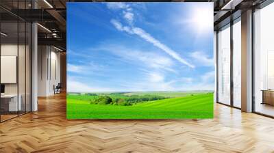 green field and blue sky Wall mural