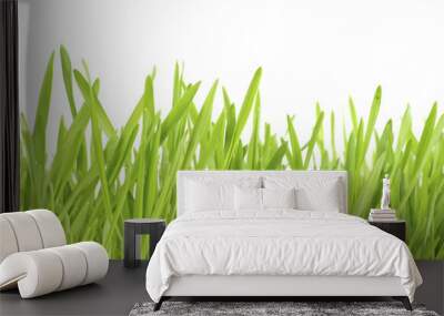 green lawn Wall mural