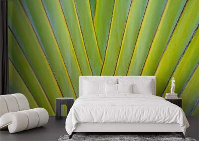 green leaf texture Wall mural