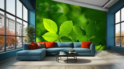 green leaves background in sunny day Wall mural