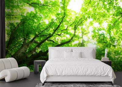 green leaves Wall mural