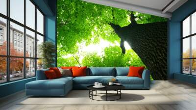 green leaves Wall mural