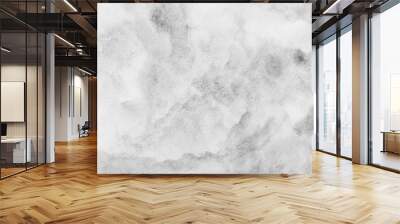 grey watercolor background. hand painted by brush Wall mural