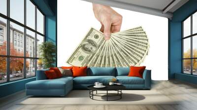 Money in hands Wall mural