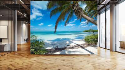 Summer beach landscape. Tropical island paradise. Tropical white sand beach with coco palms. Sand, blue sea water, turquoise ocean, sun sky white clouds Wall mural