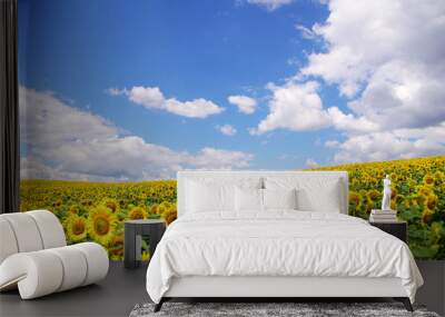 sunflower field over  blue sky Wall mural