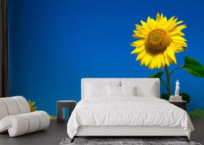 Sunflower field with cloudy blue sky Wall mural