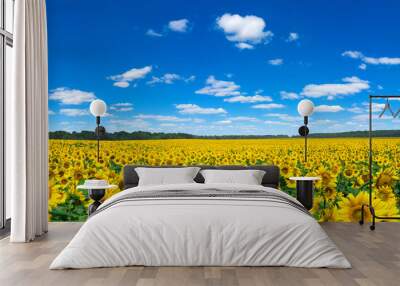 Sunflower field with cloudy blue sky Wall mural