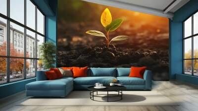 A young plant emerges from dark soil, symbolizing growth and renewal in a tranquil natural setting with soft sunlight. Wall mural