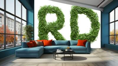 word garden is made from green grass. Isolated on white background Wall mural