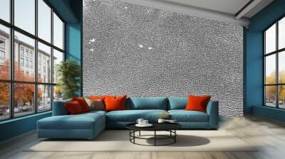 vector pattern the texture of the skin of the animal. genuine leather Wall mural