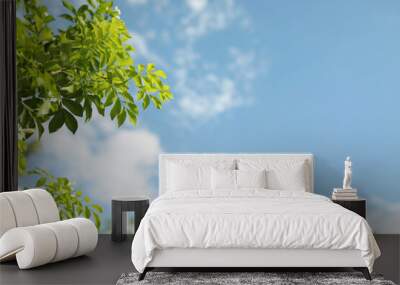 Orange jasmine light green leaves tree with bright soft blue sky background Wall mural