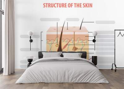 Vol.2 Structure of the skin info blank illustration vector on white background. Beauty concept. Wall mural