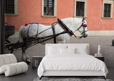 horse and carriage Wall mural