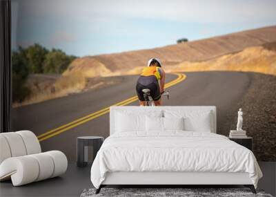 female road biker Wall mural