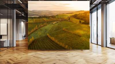 Sunrise at the orchard Wall mural