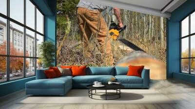 Working Chainsaw Wall mural