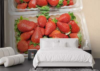 freash strawberry in packed Wall mural