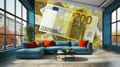 200 euro notes Wall mural